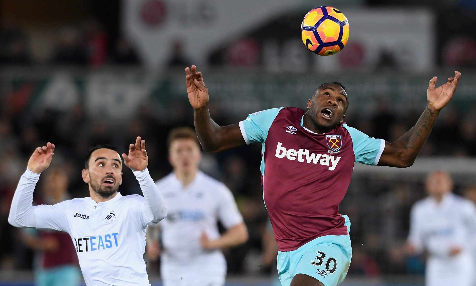 巴尔达诺 巴尔达诺