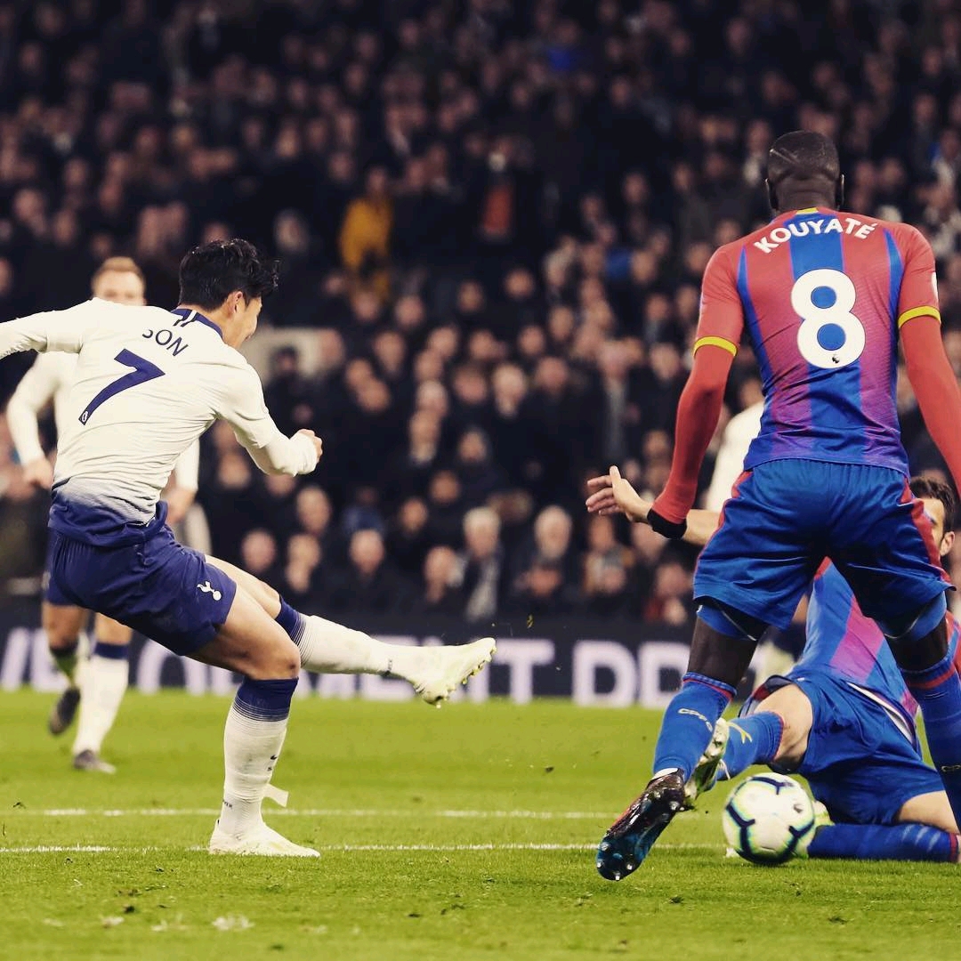 都是球队展 都是球队展