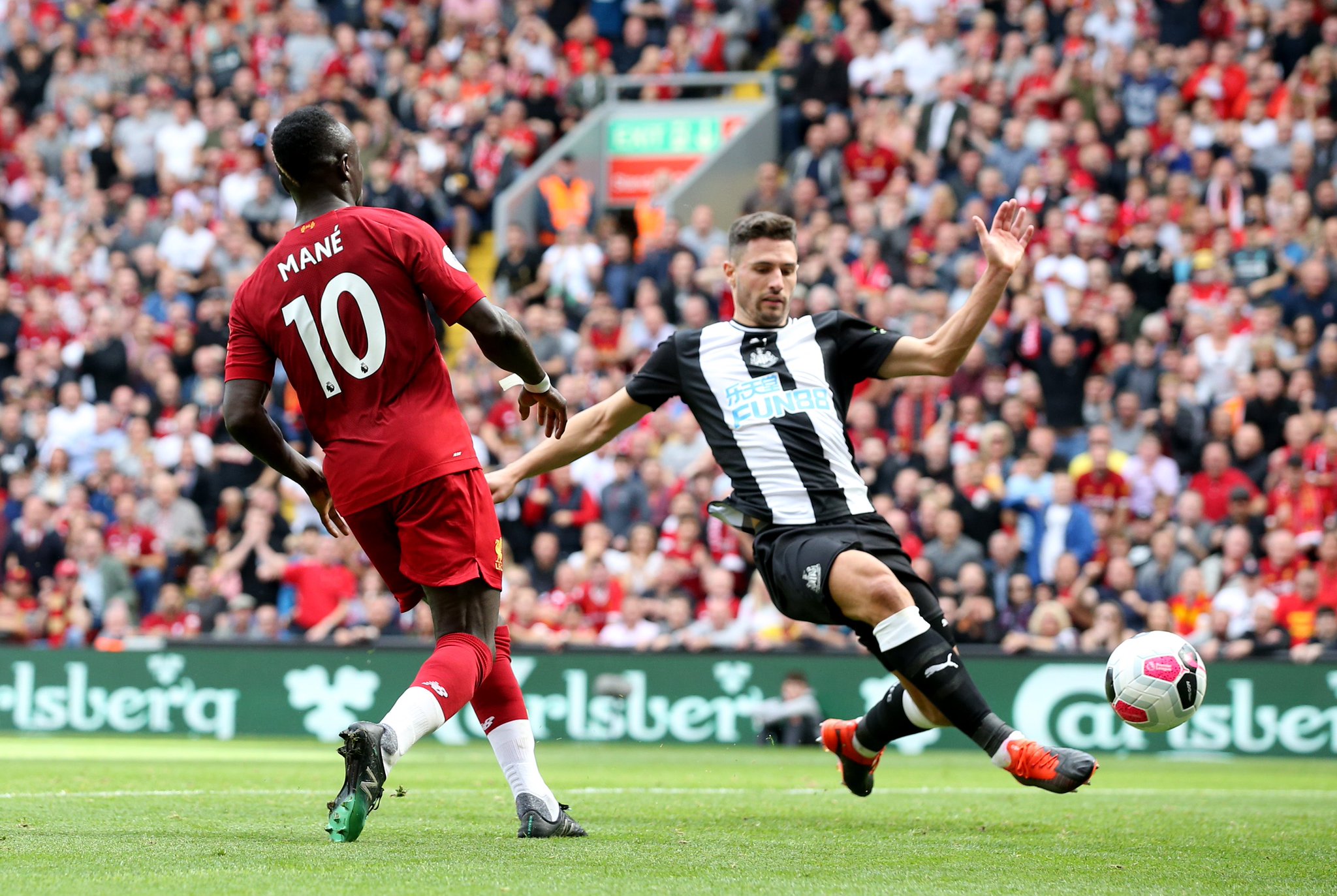 他毫不犹豫 他毫不犹豫