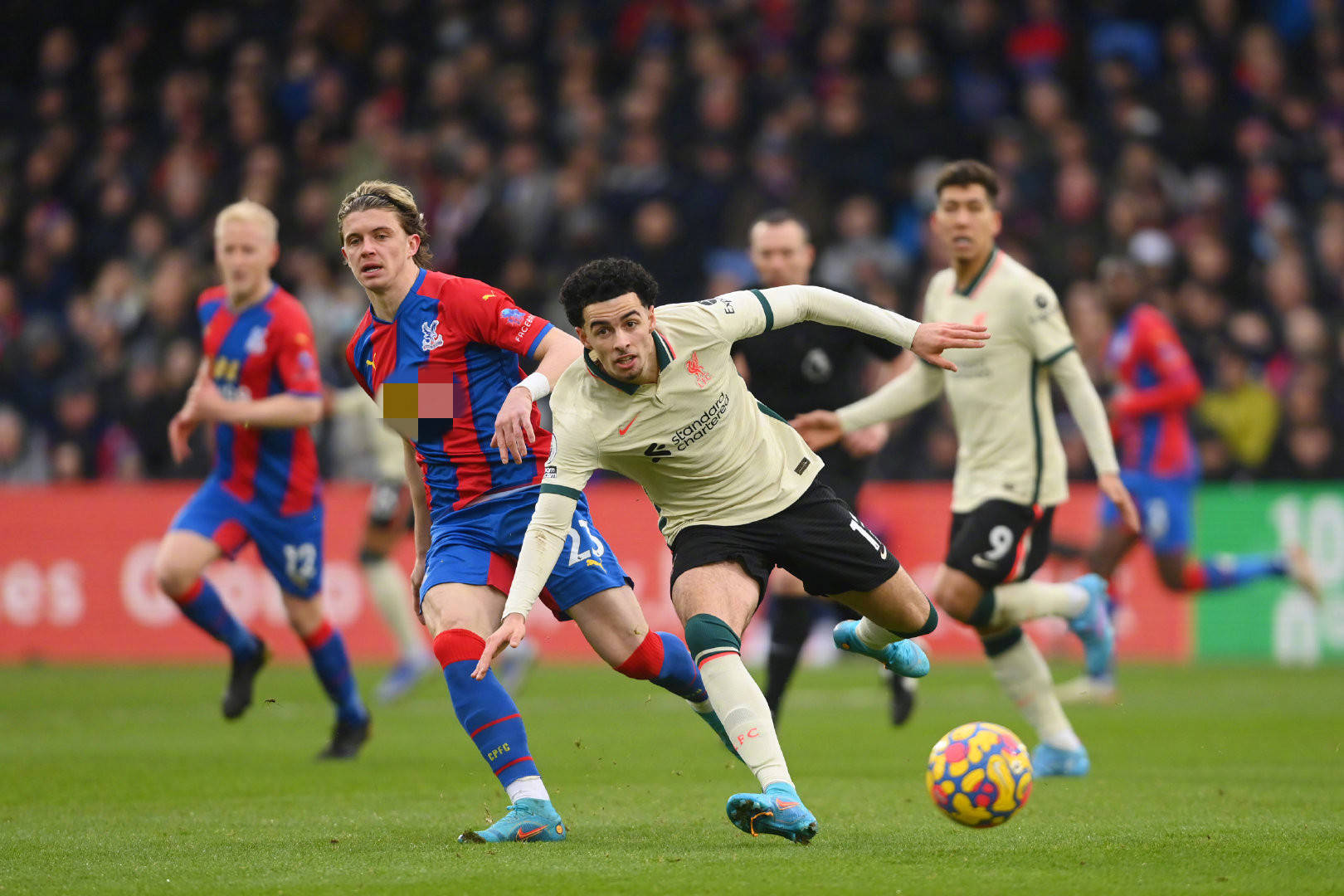 为了大家热 为了大家热